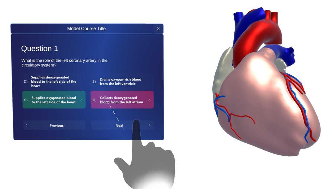 A window displaying a multiple choice question next to a 3D model of the human heart.